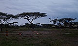 our campfire and watching marabou stork